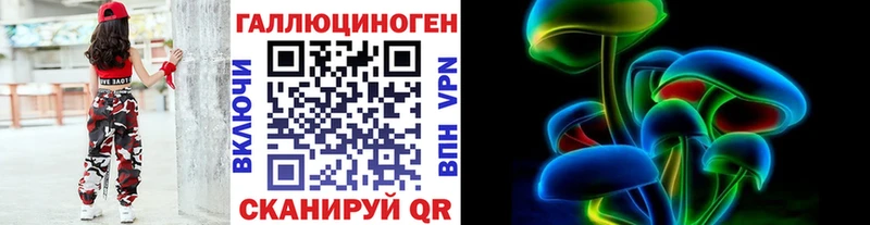 shop официальный сайт  Новая Ладога  Псилоцибиновые грибы Psilocybe 